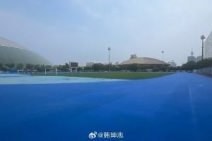 天津奥体中心外场更换草皮跑道，记者：这是津门虎惦记的